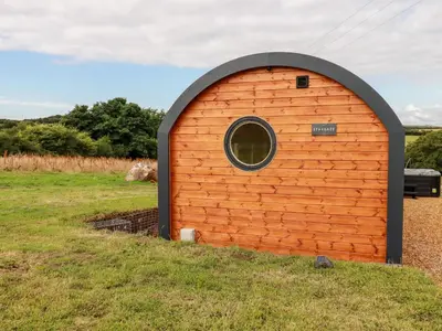a small orange building with a window in a field at Stargaze in Truro