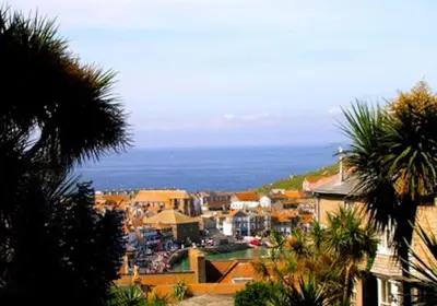a city with buildings and the ocean in the background at organic panda in St Ives