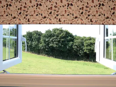a window with a view of a green field at Rose in Redruth