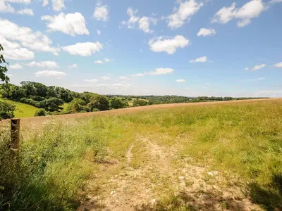 a field of grass with a blue sky and clouds at Shepherds Hut in Lostwithiel