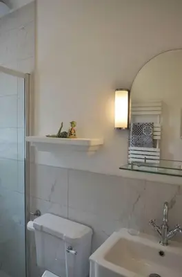a bathroom with a toilet and a sink and a mirror at Oakroyd in Gorran Haven