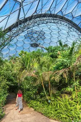 a woman is walking in a greenhouse with plants at Chy Lowen Private rooms with kitchen, dining room and garden access close to Eden Project & beaches in Saint Blazey
