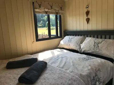 a bedroom with two beds and a window at Roosters Retreat in Launceston