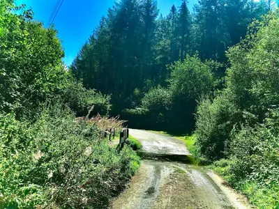 a dirt road in the middle of a forest at Roosters Retreat in Launceston