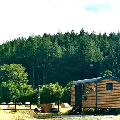 Roosters Retreat