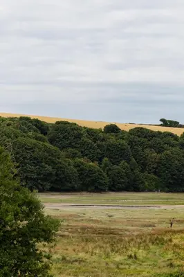 a large field with trees in the distance at 1 Chatsworth Riverscape Apartments - Riverview apartment in great location with free parking overlooking the Gannel just a short walk from Newquays incredible beaches and local amenities in Newquay