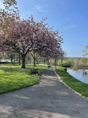 a path in a park with trees and a bench at 1 Chatsworth Riverscape Apartments - Riverview apartment in great location with free parking overlooking the Gannel just a short walk from Newquays incredible beaches and local amenities in Newquay