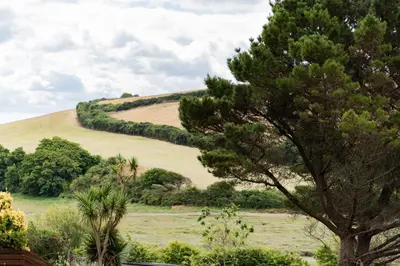 a grassy hill with a tree in the foreground at 2 Chatsworth Riverscape Apartments - Peaceful apartment in great location with free parking overlooking the Gannel just a short walk from Newquays incredible beaches and local amenities in Newquay