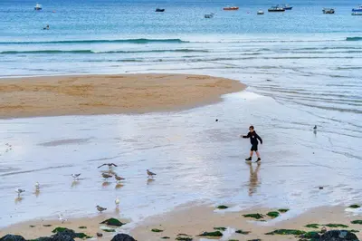 a person standing on a beach with birds on the beach at Tregurno in St Ives
