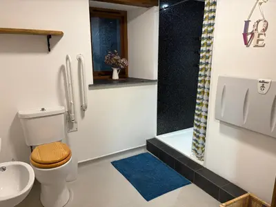 a bathroom with a toilet and a sink and a shower at The Mill'ouse in Launceston