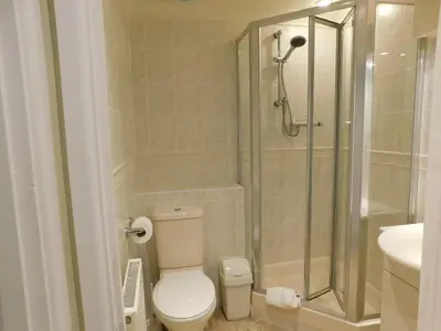 a bathroom with a shower and a toilet and a sink at Primrose Cottage, spacious 4 bed house near Newquay in Newquay