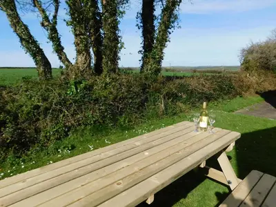 a bottle of wine sitting on a wooden bench at Primrose Cottage, spacious 4 bed house near Newquay in Newquay