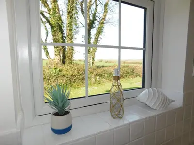 a window with a vase and a plant on a counter at Primrose Cottage, spacious 4 bed house near Newquay in Newquay