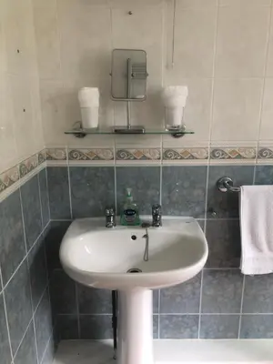 a bathroom with a white sink and a mirror at Little Valley View in Otterham