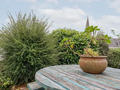 a table with a potted plant on top of it at 2 Old Talbot Cottages in Lostwithiel