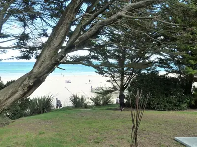 people walking on the beach under a tree at Grey Mullet Guesthouse in St Ives