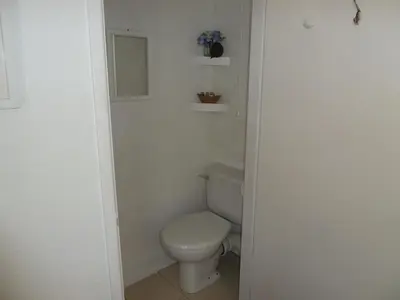 a bathroom with a white toilet in a room at Grey Mullet Guesthouse in St Ives