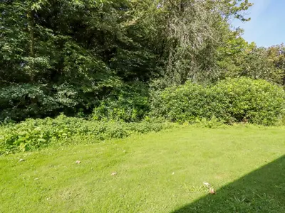 a field of green grass with trees and bushes at Woodside in Liskeard