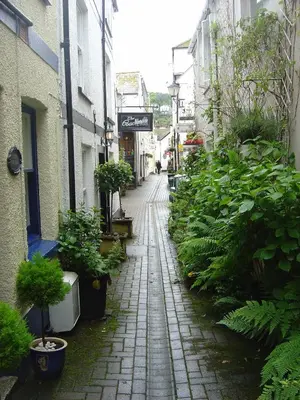 an alley with potted plants on the side of a building at The Old Bridge House in Looe