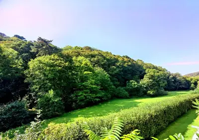 a path through a field with trees and grass at Gorgeous Cottage at Crackington Haven, near Bude and Boscastle, Cornwall in Bude