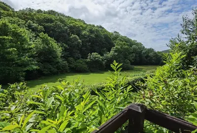 a view of a field of grass and trees at Kallowen Cottage at Crackington Haven, near Bude and Boscastle, Cornwall in Bude