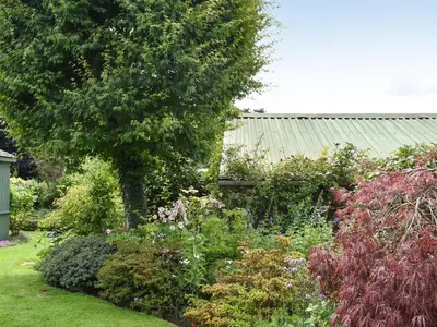 a garden with a bunch of flowers and a tree at Tinners Gate in Saint Cleer