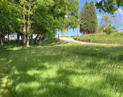 a field of grass with trees and a dirt road at Cargibbitt Annexe in Liskeard