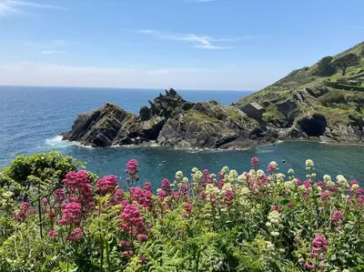 a bunch of flowers in front of the ocean at Cargibbitt Annexe in Liskeard