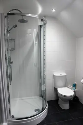 a bathroom with a shower and a toilet at Elysian Fields B&B in Helston