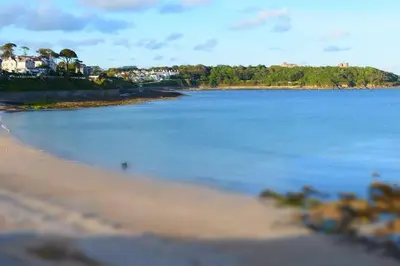 a view of a beach with houses in the distance at Acuba in Falmouth