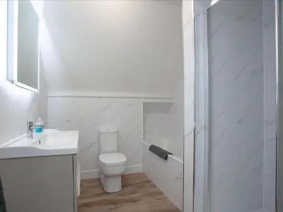 a white bathroom with a toilet and a sink at Pochin House Apartment Penthouse in St Austell
