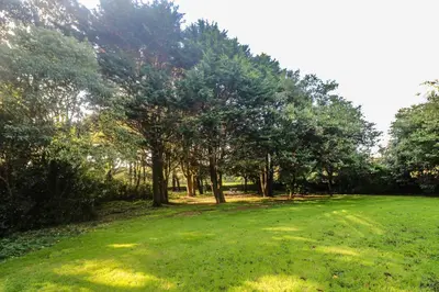 a large field with trees and green grass at Yngywidden in Penzance