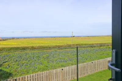 a view from a window of a field of flowers at Stunning home, sea views, walk to beach in Saint Ervan