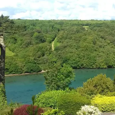 Looe
