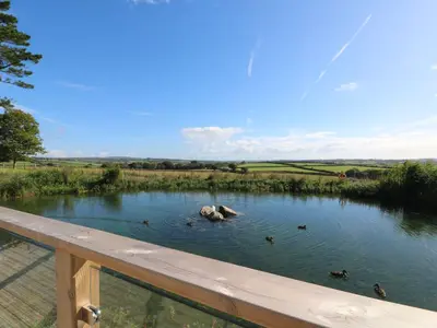 a group of ducks swimming in a pond at 14 Faraway Fields in Liskeard