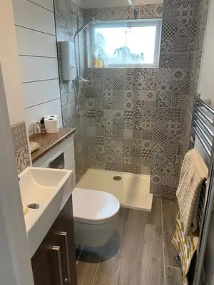 a bathroom with a toilet and a sink and a shower at Clarendon House in Saint Columb Major