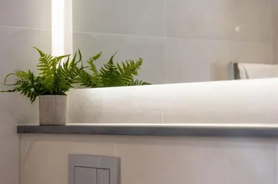 a plant sitting on a shelf in a bathroom at The Kingswood in St Austell