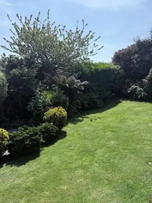 a garden with green grass and bushes at No.48 Falmouth - 10 minutes walk to the beach in Falmouth