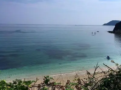 a beach with a group of people in the water at Apartment The Saltings by Interhome in St Austell