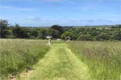 a field of tall grass with a barn in the distance at WildView Cosy Glamping with Outdoor Bath and stunning scenery in Helston