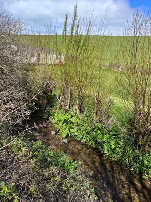 a stream in a field with trees and plants at Newquay Caravan, Newquay Bay Resort Jetts View 104 in Newquay