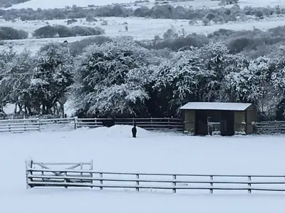 a snow covered field with a fence and a barn at Skyber Barn, a rural retreat on Bodmin Moor in Liskeard