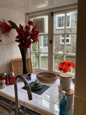a kitchen counter with a vase of red flowers on a sink at Mill Retreat at Bissick Old Mill in Truro