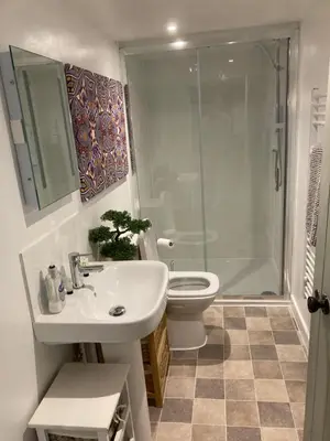 a bathroom with a shower and a sink and a toilet at Mill Retreat at Bissick Old Mill in Truro