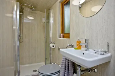 a bathroom with a sink and a toilet and a shower at The Cabin at Hillhead farm in Saint Columb Major