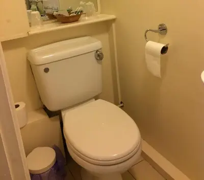 a bathroom with a white toilet and a roll of toilet paper at Grey Mullet Guest House in St Ives