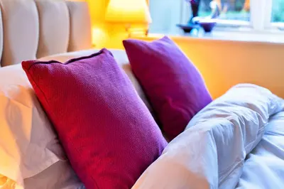 two purple pillows sitting on top of a couch at Finest Retreats - Jenny Wren in Boscastle
