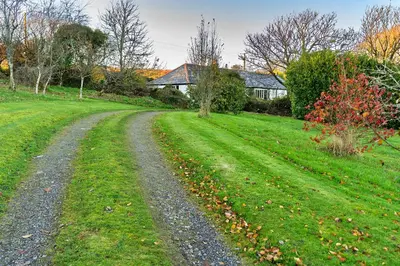 a dirt road in the middle of a field at Finest Retreats - Jenny Wren in Boscastle