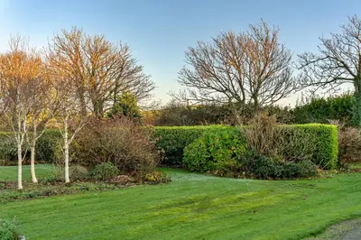 a garden with green grass and bushes and trees at Finest Retreats - Jenny Wren in Boscastle