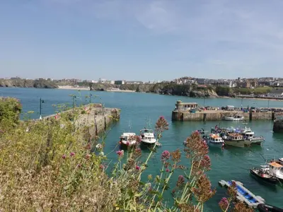 a group of boats are docked in a harbor at Flat 4 in Newquay